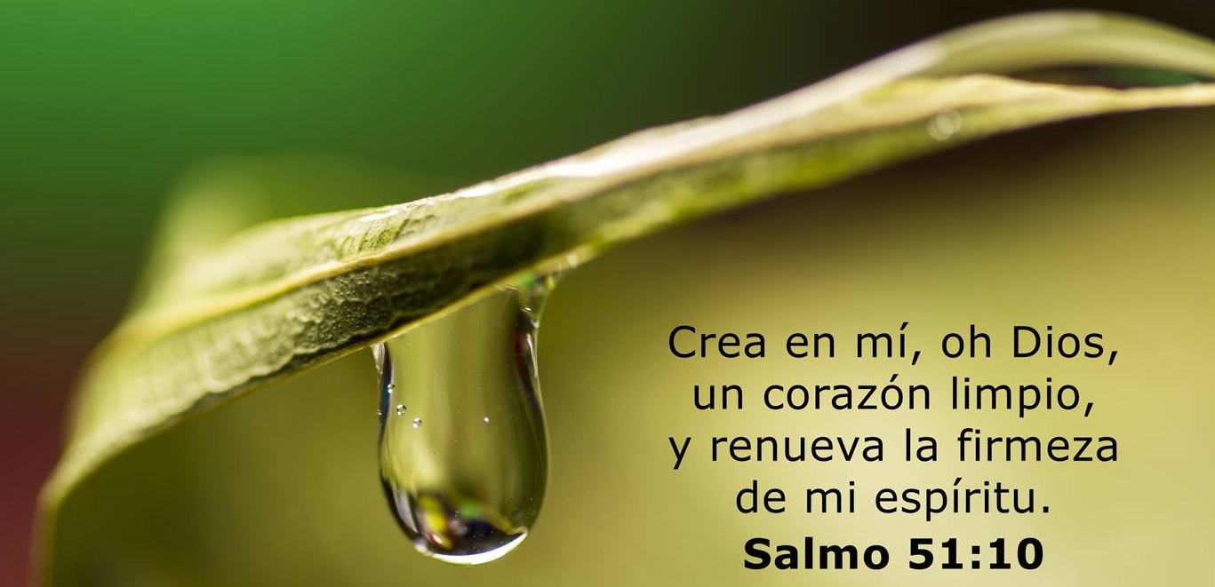 salmo